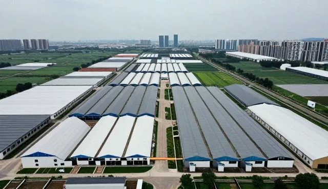 网站建设选型中需关注的技术细节与实施路径